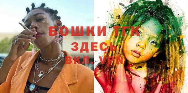 шишки Алексин