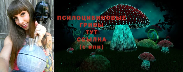 СК Алексеевка