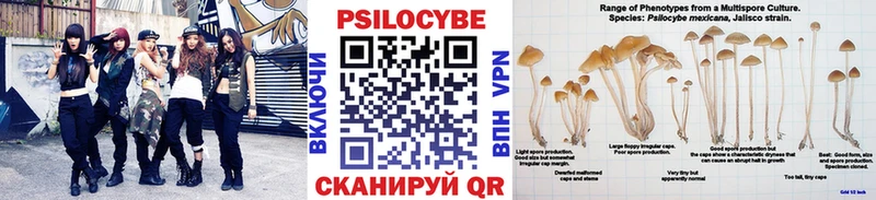 наркошоп  shop какой сайт  Галлюциногенные грибы Magic Shrooms  Лесосибирск 