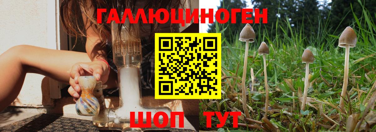 Псилоцибиновые грибы Psilocybine cubensis  Галлюциногенные грибы MAGIC MUSHROOMS  Лесосибирск  Вход с VPN 
